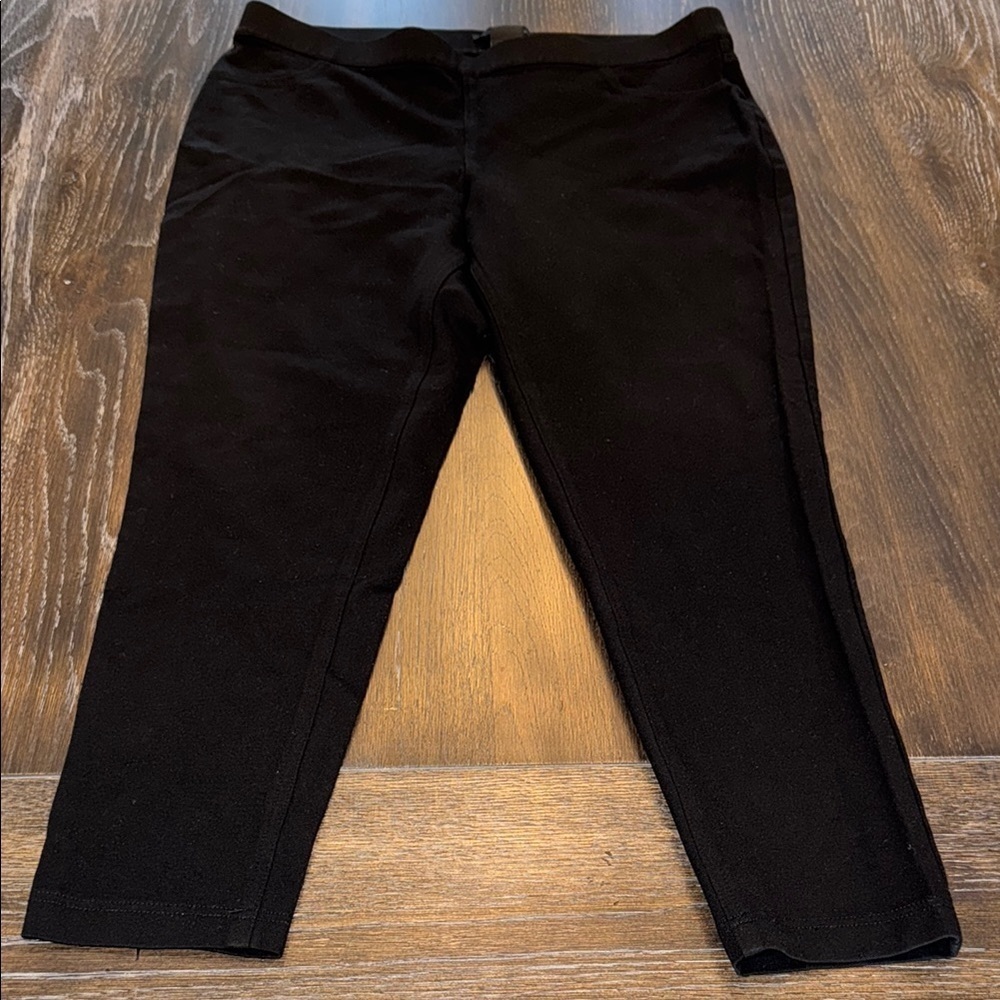 🔴🔴 Zac & Rachel Pull On Black Ankle Pant Size 1X
